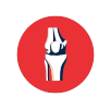 Orthopedics & Joint Replacement